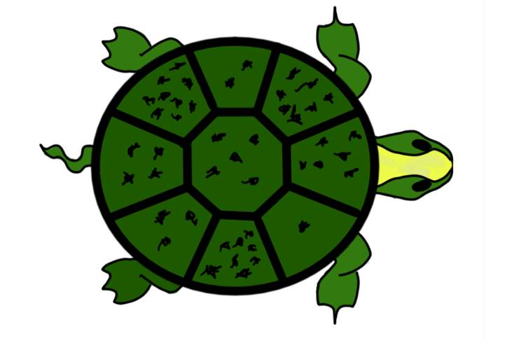 Figure 2 — Spots on the Sacred Tortoise, illustrated by Kerem